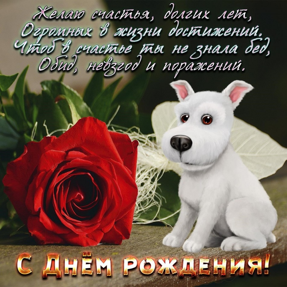 Картинка на День рождения с собачкой и розой